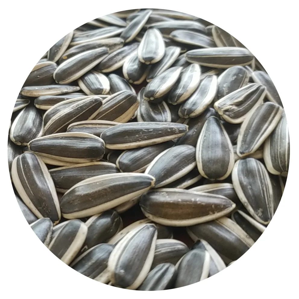 
Raw Chinese Wholesale sunflower seeds jumbo 