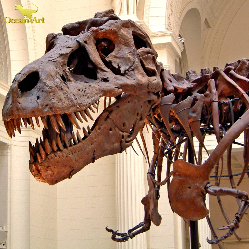 Amusement Park Full Size Replica T Rex Dinosaur Skeleton Model For Sale