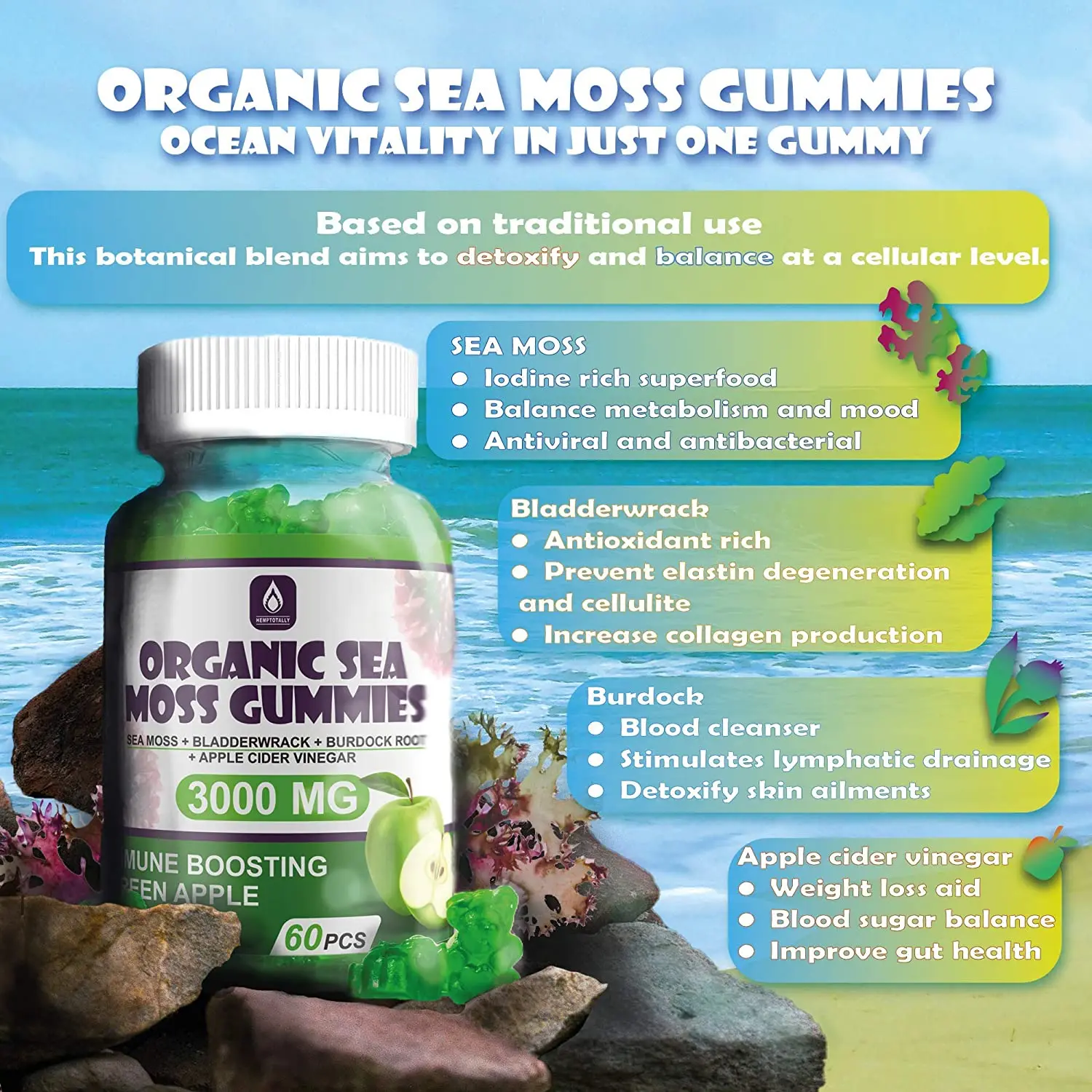 Органический морской мох Gummies-ямайский Bladderwrack Корень лопуха и яблочный уксус-60