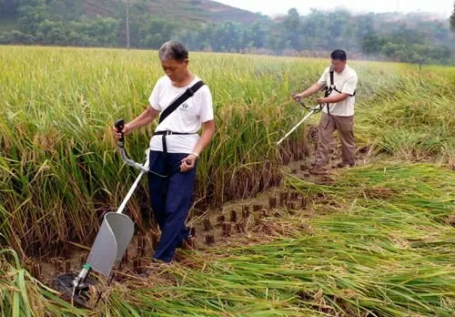 Rice and wheat harvester handle type high quality backpack rice paddy harvester cutter