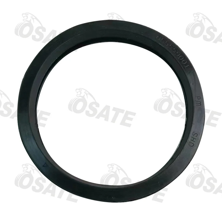 055559001 RUBBER GASKET DN125 SK/PM5.5 INCH SEAL