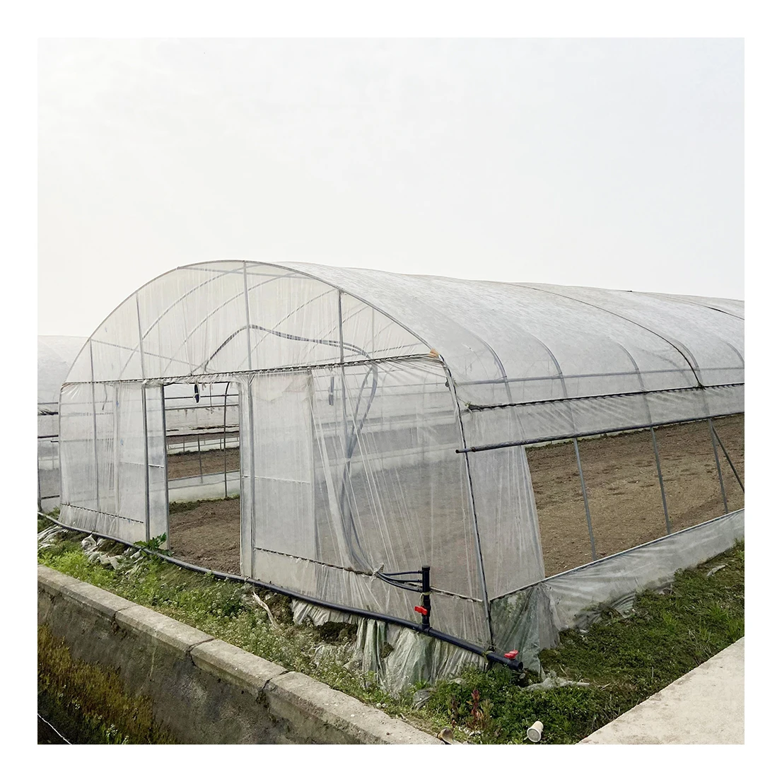 Low Cost Agriculture Tunnel House Fruits Growing Table Hydroponic System Plastic Film Watermelon Greenhouse