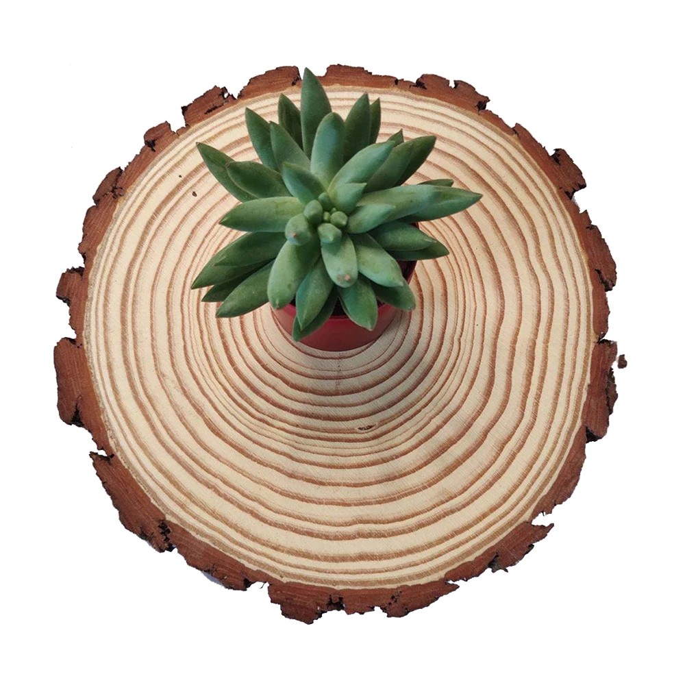 
Custom Natural Birch Wood Eco-Friendly Decorative Rustic Natural Unfinished Round Wood Slices For DIY Crafts 