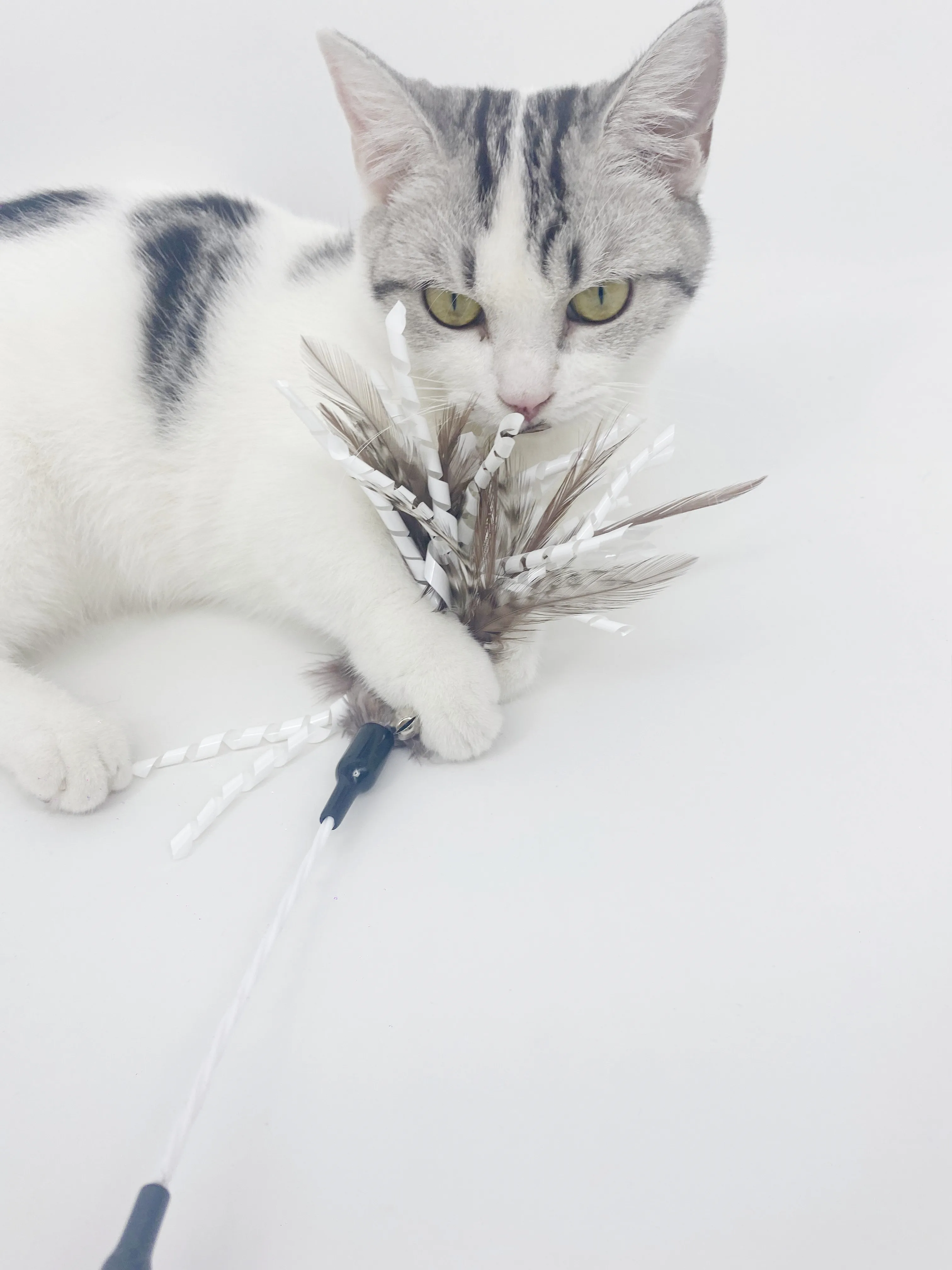 Turkey hair spiral bell teaser cat toys cat toys natural feather wand cat pet toys supplies