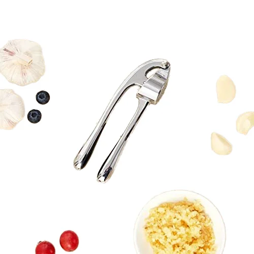 Garlic press mash machine kitchen   manual garlic mash machine zinc alloy  tools garlic press