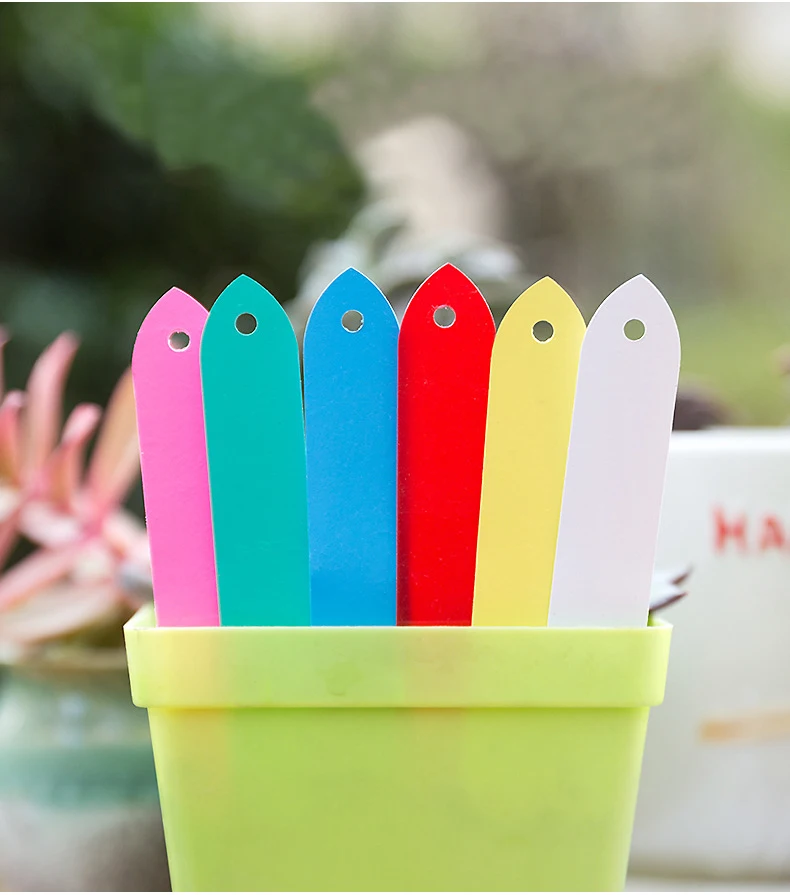 10X2cm Plants Labels Perforated PVC Plastic Hanging Labels Gardening Flower Succulent Plastic Waterproof Label