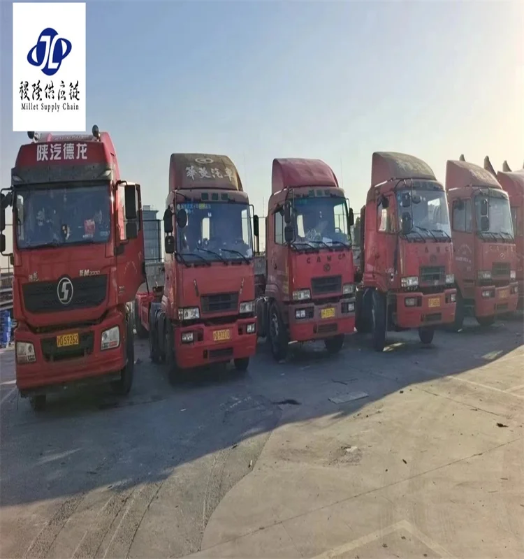 China shipping Dropshipping agent/Freight Forwarder  shipping  to USA UAE Australia By  AIR  DDP International logistic Service