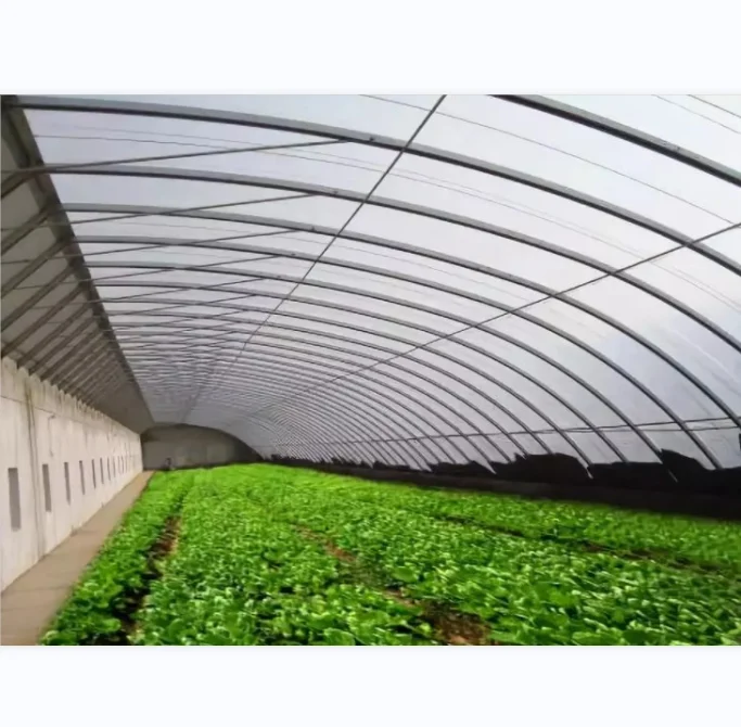 Chinese traditional solar tunnel plastic film steel frame greenhouse for extremely cold area