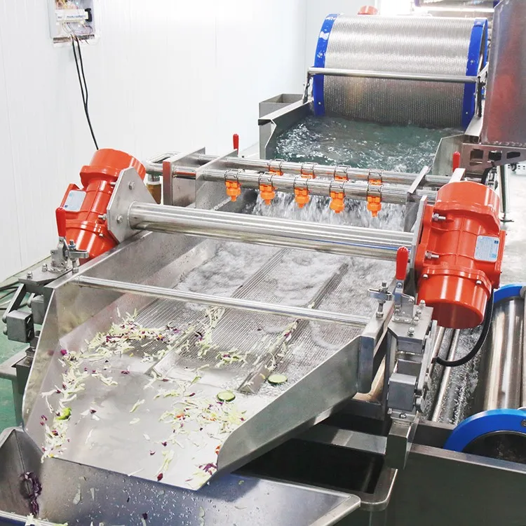 Automatic Vegetable & Fruit Cutting Washing Production Line, Salad Vegetable Processing Line