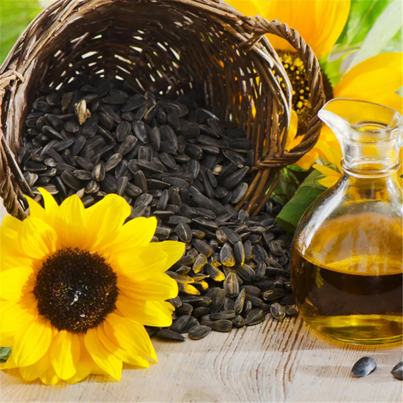 sunflower seeds 09.jpg