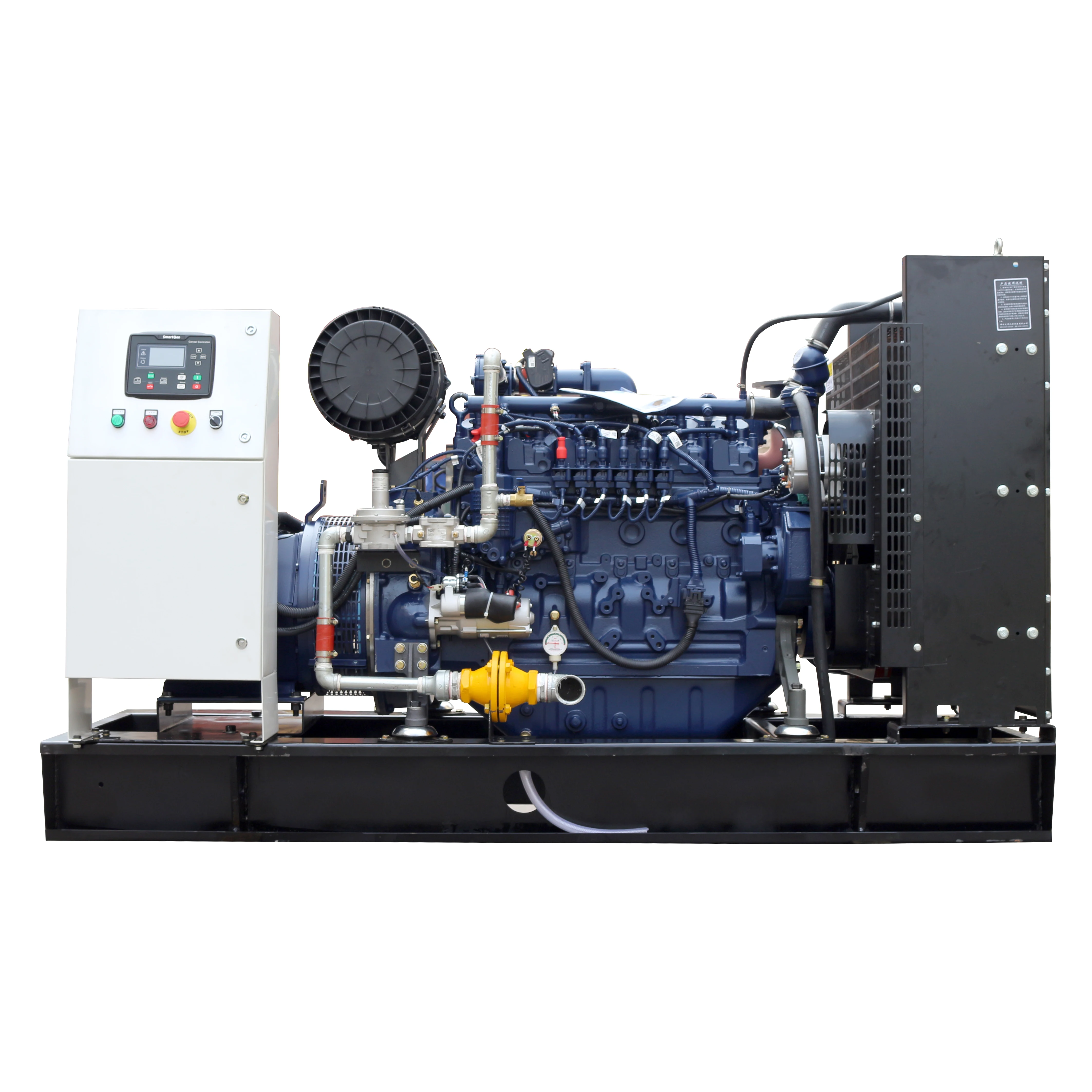  Хорошая цена! 10KW-1000KW природного газа компании 