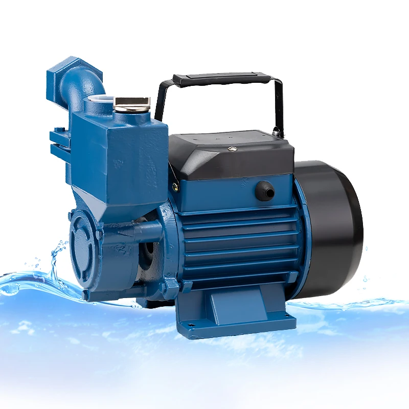 Bombas De Agua 1Hp Electric Self Priming Cleaning Water Supply Pressure Booster Pump Home for Irrigation