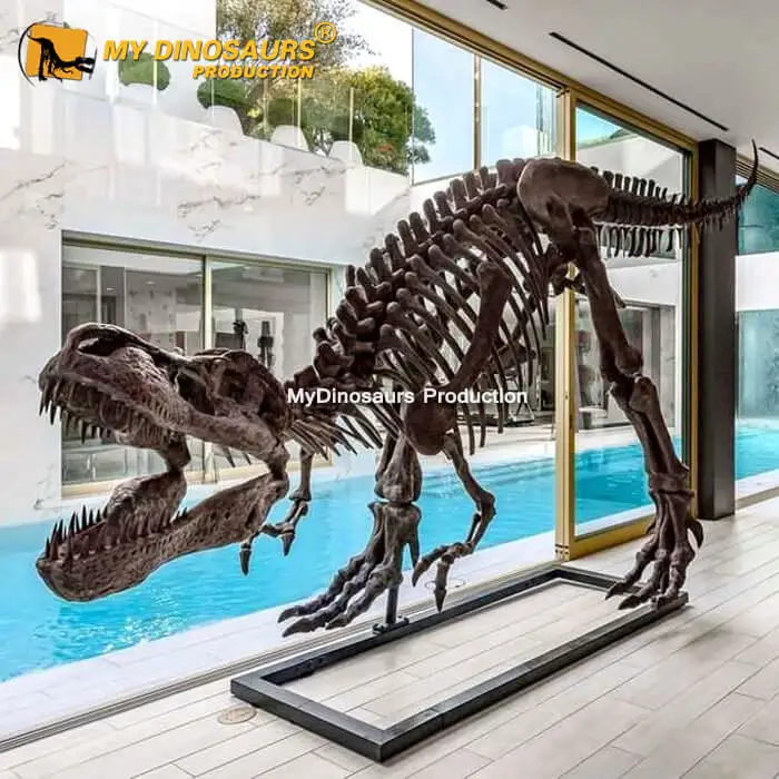 My Dino Life Size Dinosaur T-rex Skeleton for Shopping Mall