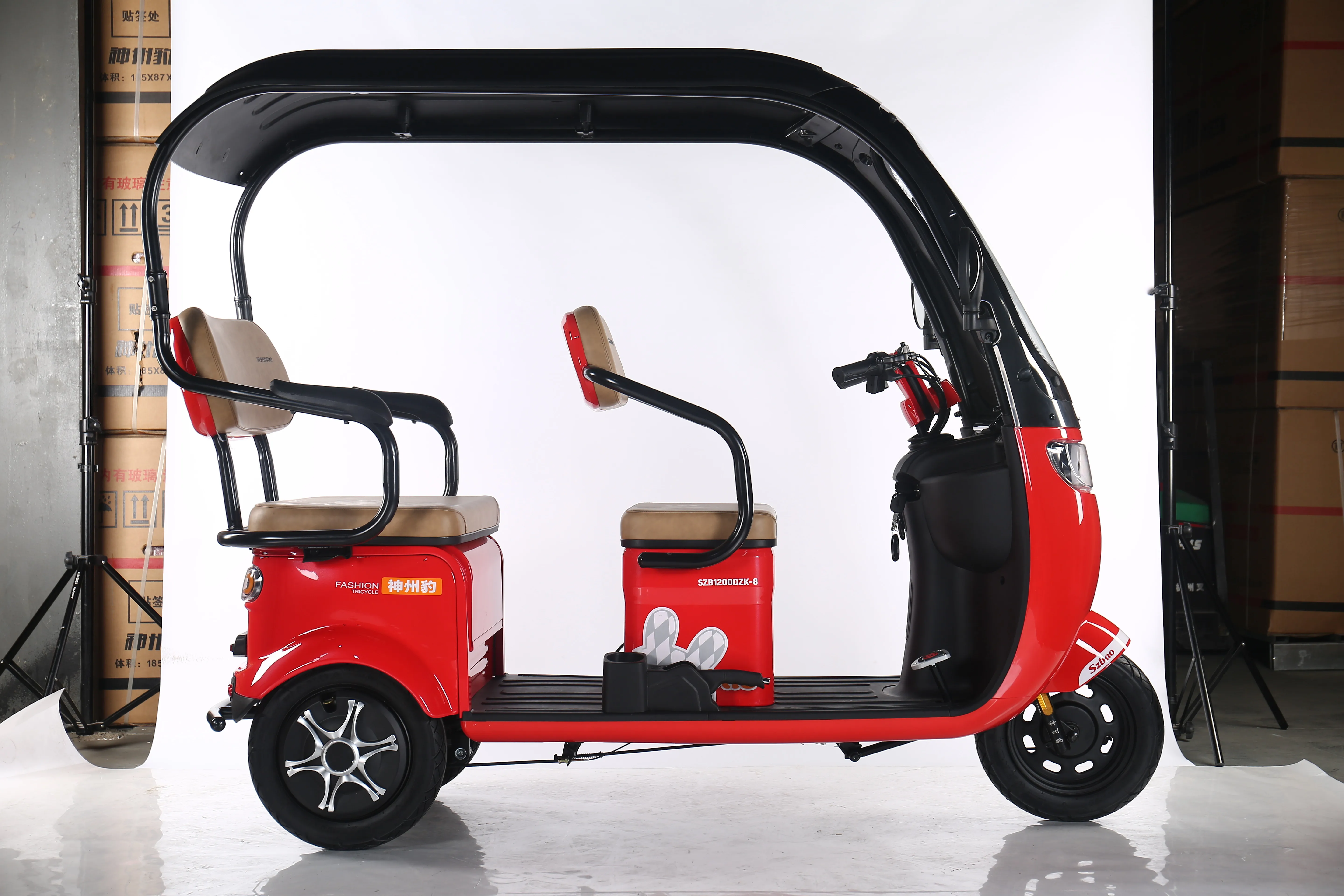 China Cheap adult electric tricycle 3 Wheeler Electric Vehicle Tricycle For 2 People