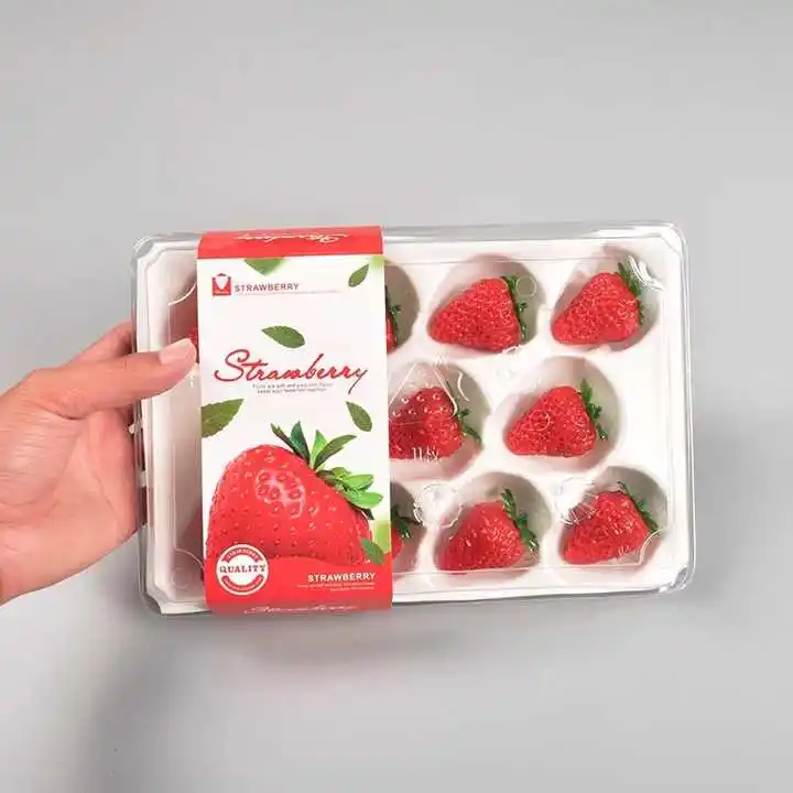 Reusable 9 11 12 15 20 24 pcs Insert Disposable PET Custom Food Grade Blister Container Plastic Fruit Strawberry Packaging Tray