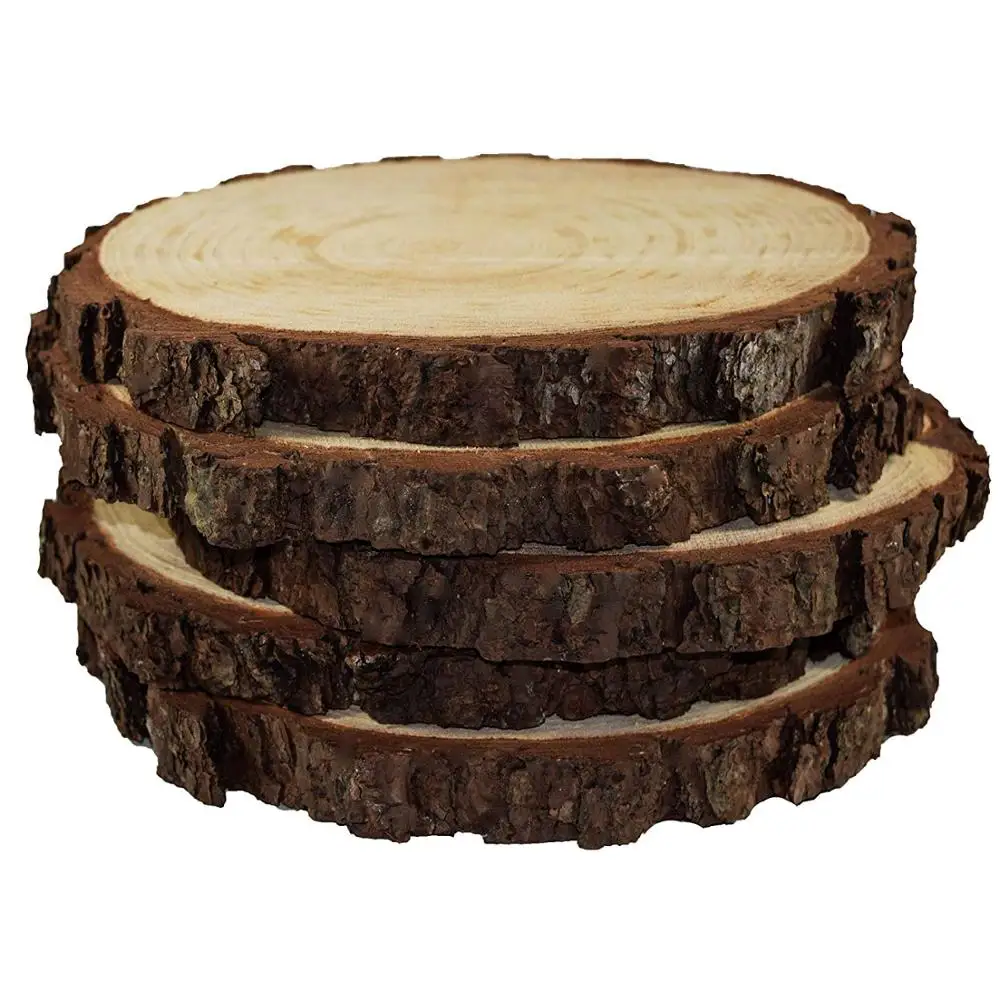 
Custom Natural Birch Wood Eco-Friendly Decorative Rustic Natural Unfinished Round Wood Slices For DIY Crafts 