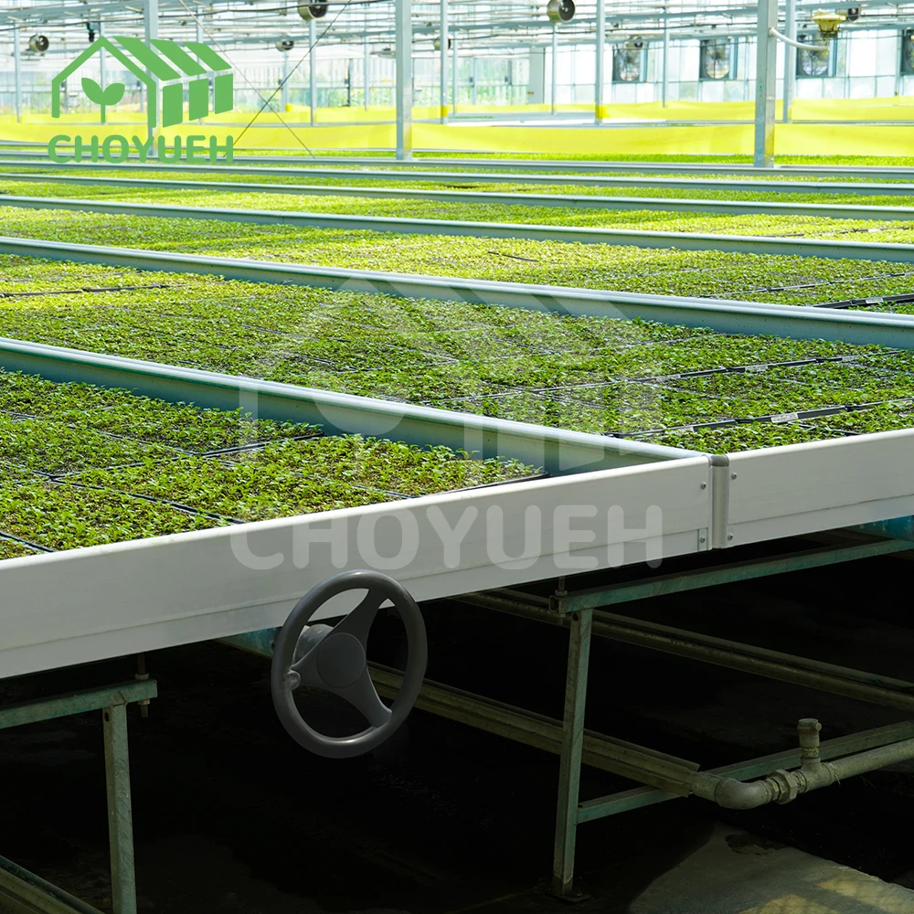 CHOYUEH A innovative solution for enhanced seedling production peanut seedlings the efficient rolling seedbed greenhouse seedbed