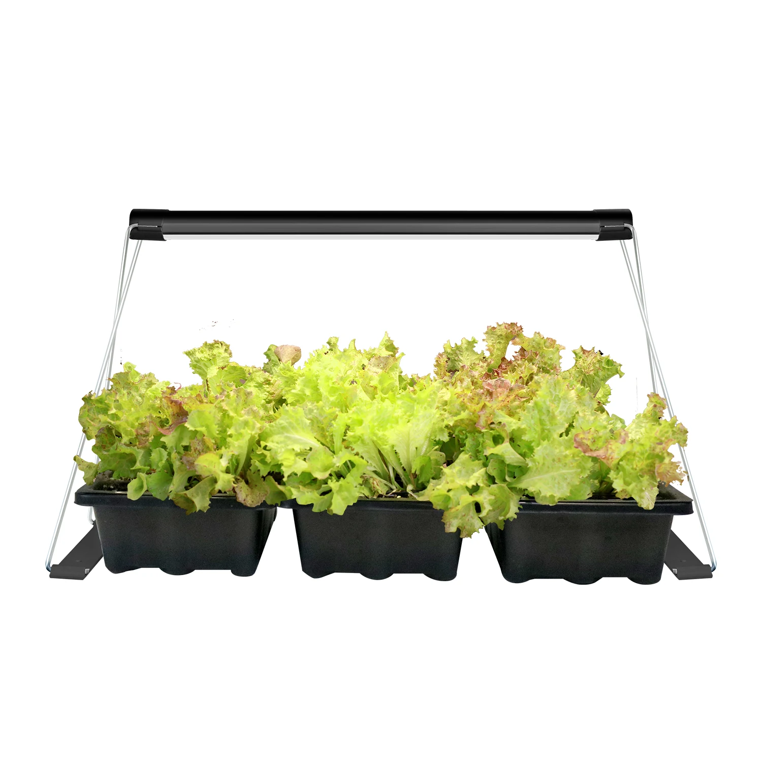 JNC Minigarden Norm Indoor Garden click and grow smart garden indoor smart microgreens seedling starter succulents growing
