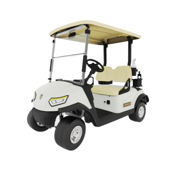 electric golf cart with certificate 2 seats golf carts buggy with lithium battery