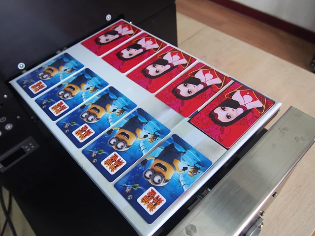 China Made Factory Direct Sale Roland T-Shirt Machine Printer Price