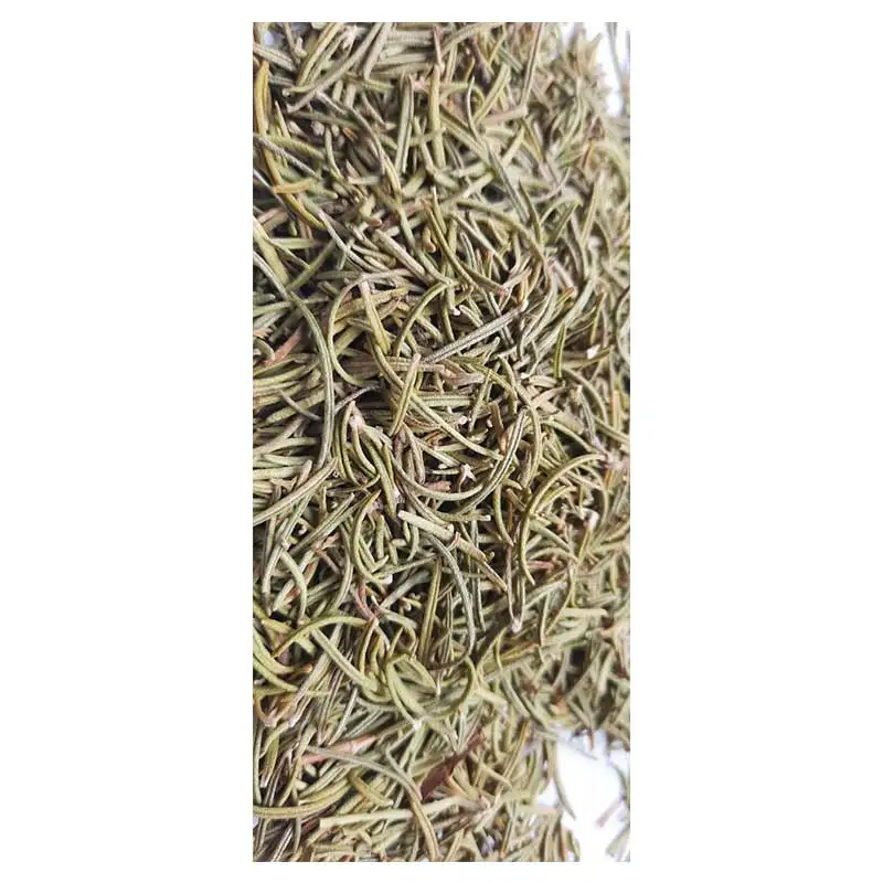 High Quality Rosemary Dried Popular Distinctive  Rosemary leaves