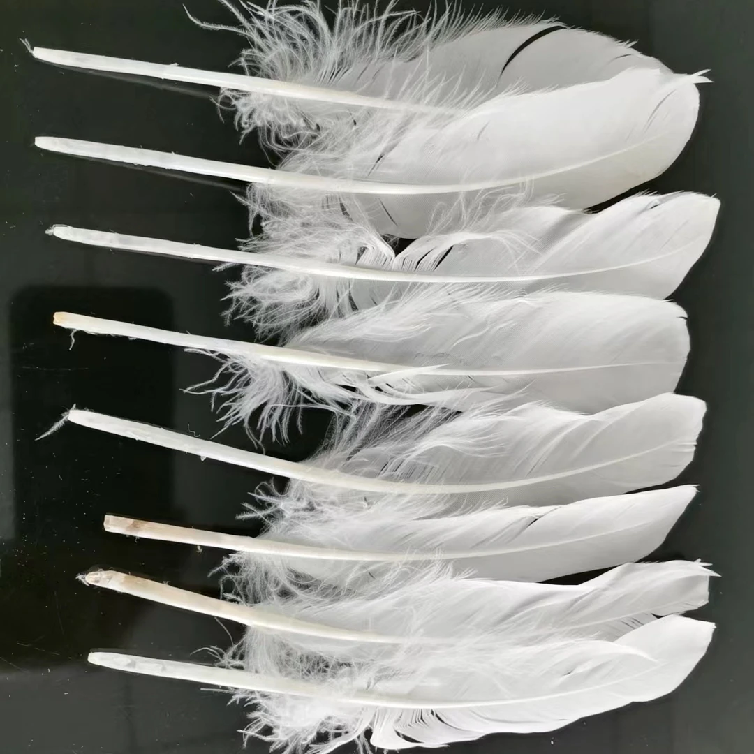 Duck Feather for Badminton Shuttlecock Factory Directly Shipping to Indonesia/Vietam