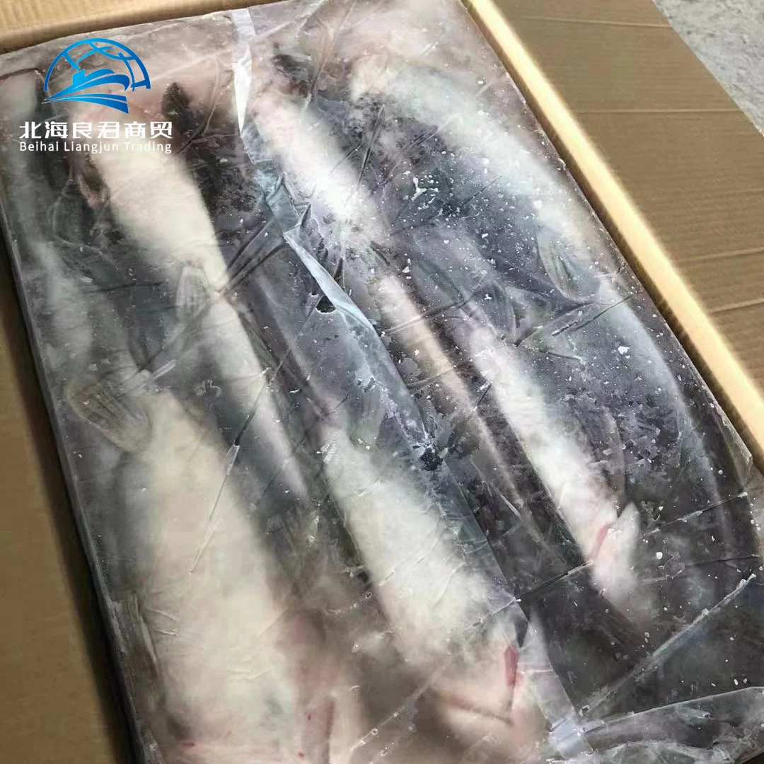 Wholesale supplier hot selling specialty natural seafood high-quality and healthy fresh frozen live catfish fish