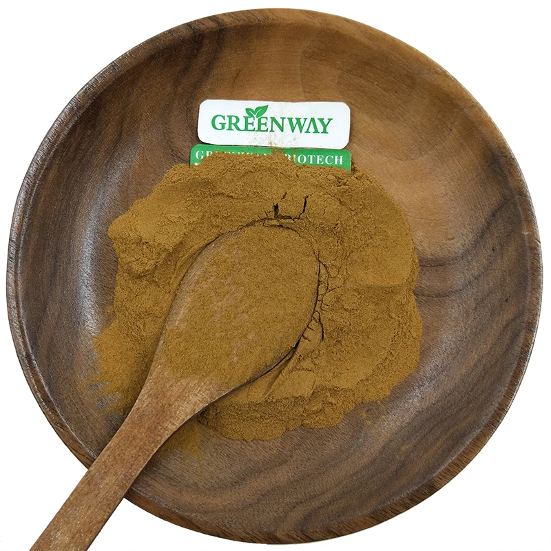 Greenway поставка 100% чистый натуральный экстракт грибов чага Chaga порошок