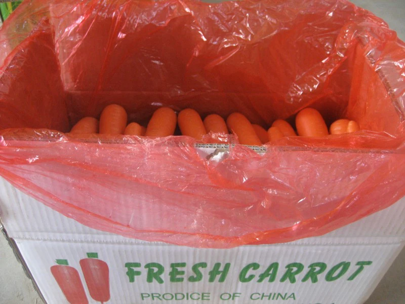 
2021 new crop fresh carrot/carrots full of vitamin c carrot from China 