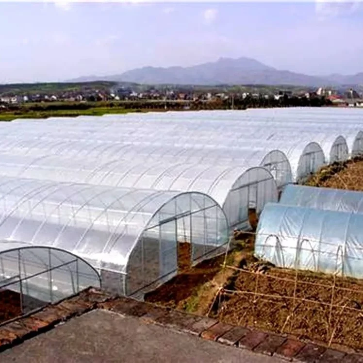 High Quality Single-span Arch Type Tunnel Film