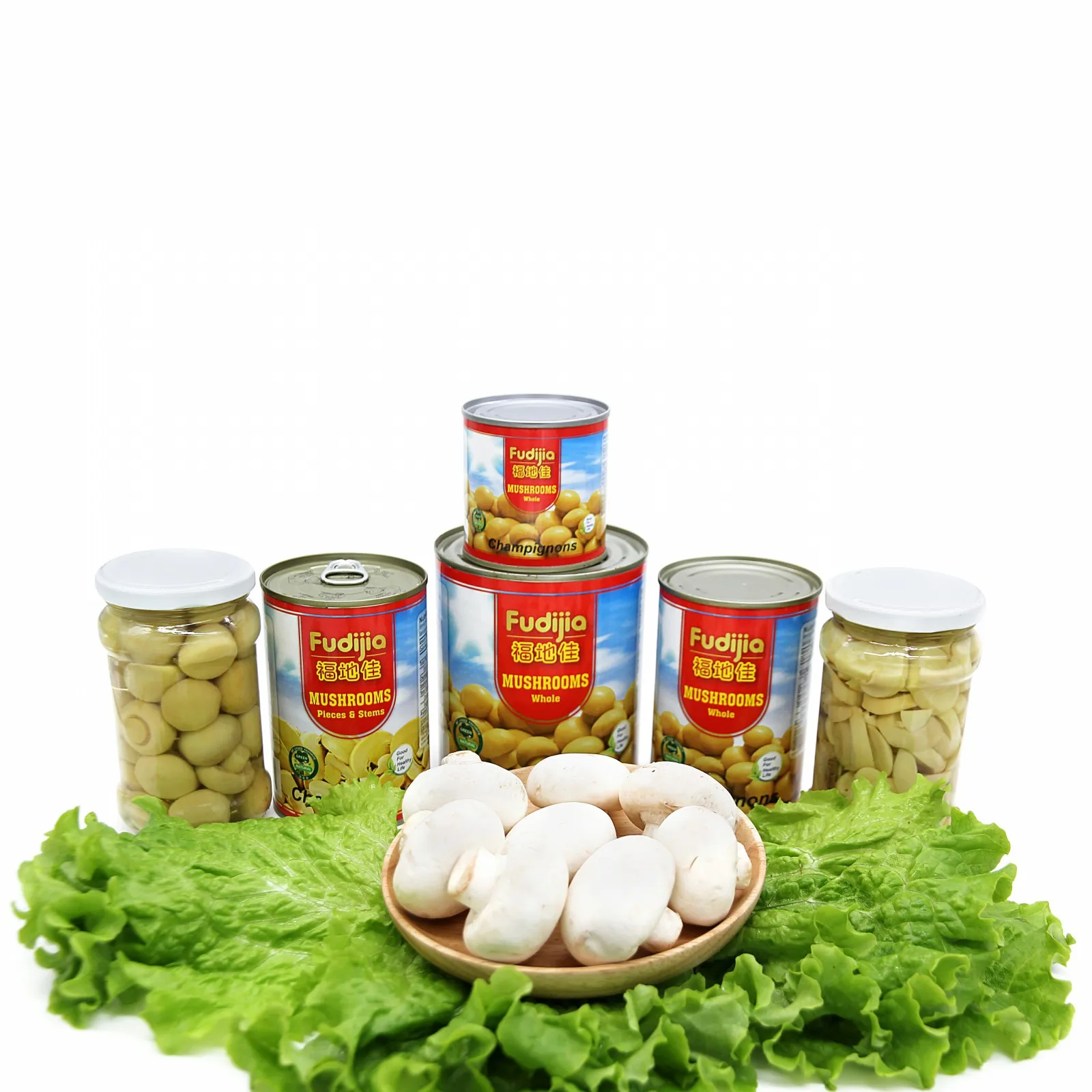 Canned Mushroom Canned Champignon Mushroom Factory Direct Supplier Canned Food