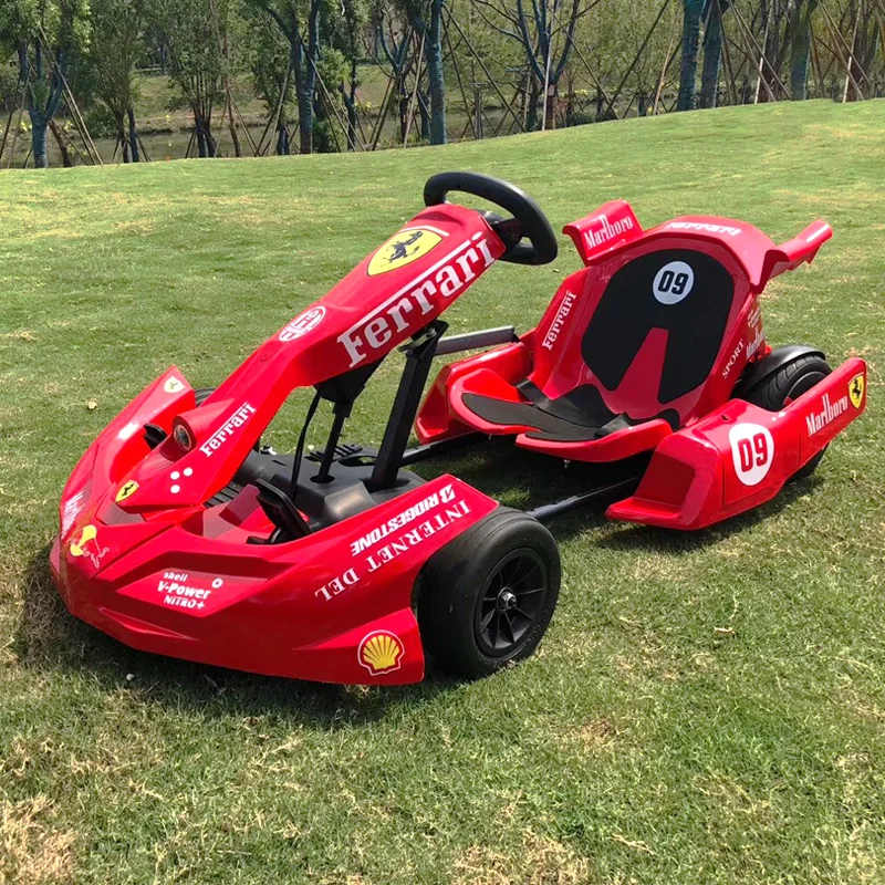 off road 10 inch electric go kart dual motor go karting with replaceable battery 54v