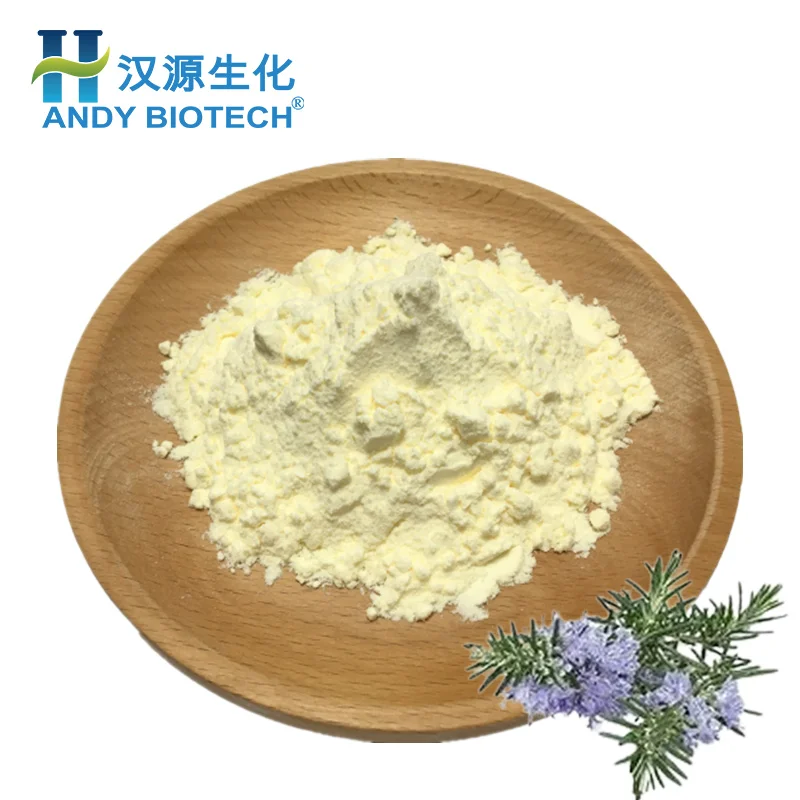 High Quality Rosemary Extract Rosemary Leaf Extract  25% Ursolic Acid Powder