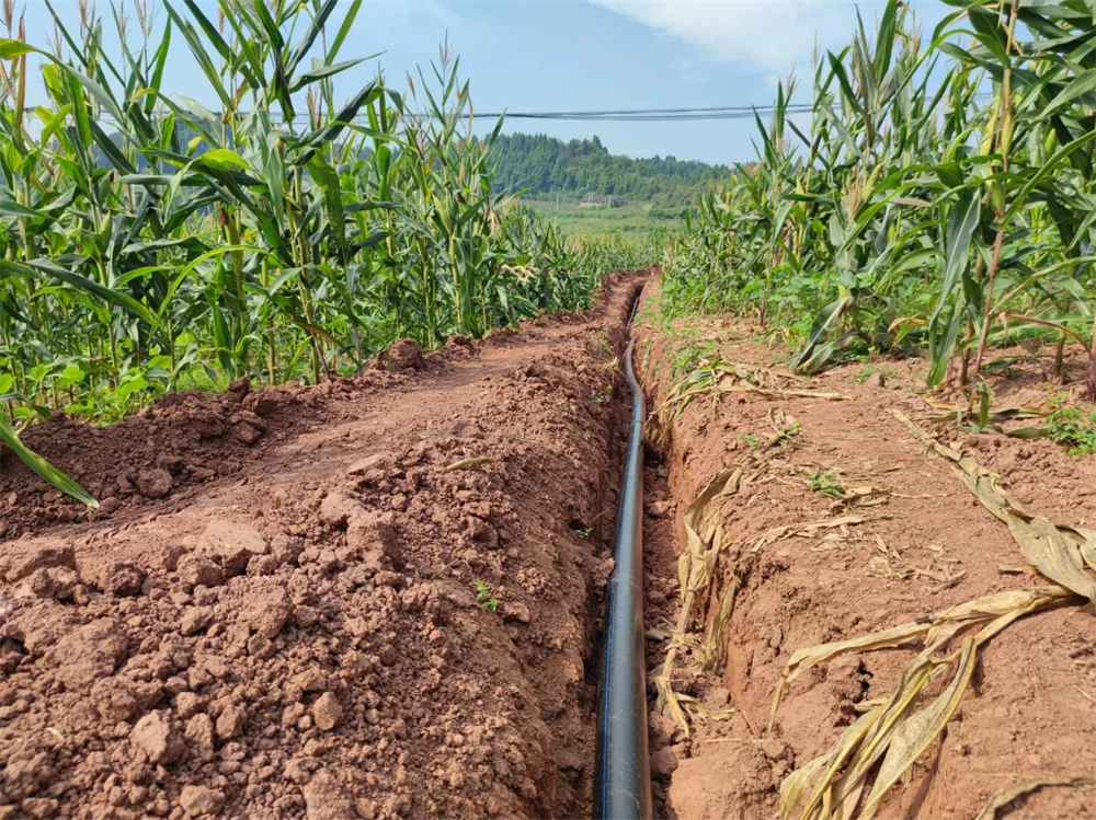 Factory customization Factory Outlet High Quality Hdpe Water Pipe Hdpe Pipes 600mm
