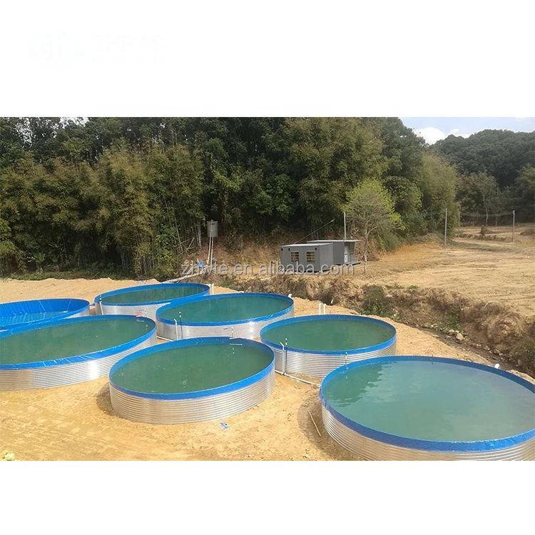 Guangzhou supplier indoor shrimp fish farming aquaculture hatching tank pond
