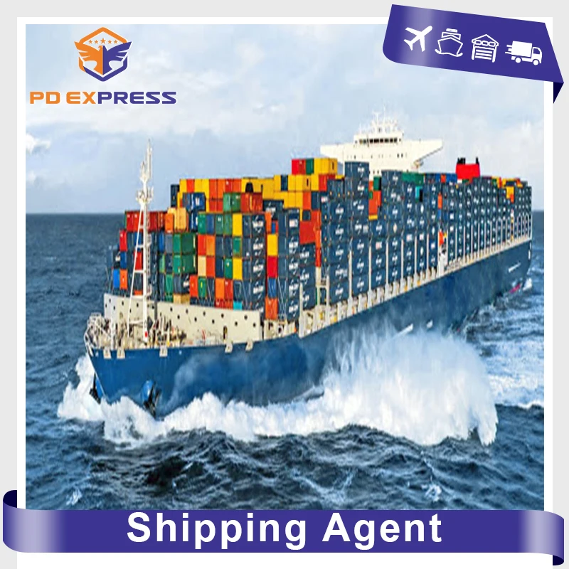Stable shipping service sea freight shipment sea shipping service sea cargo ship China shipping to USA Amazon warehouse service