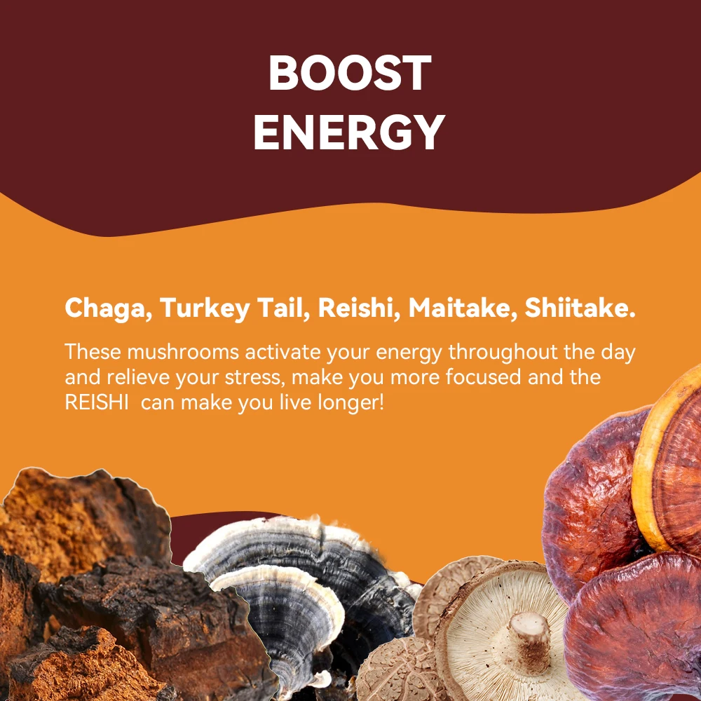 10:1 Reishi Chaga Mushroom Mix Extract Powder Turkey Tail Mushroom Powder Organic Maitake Shiitake Mushroom Blend Extract Powder