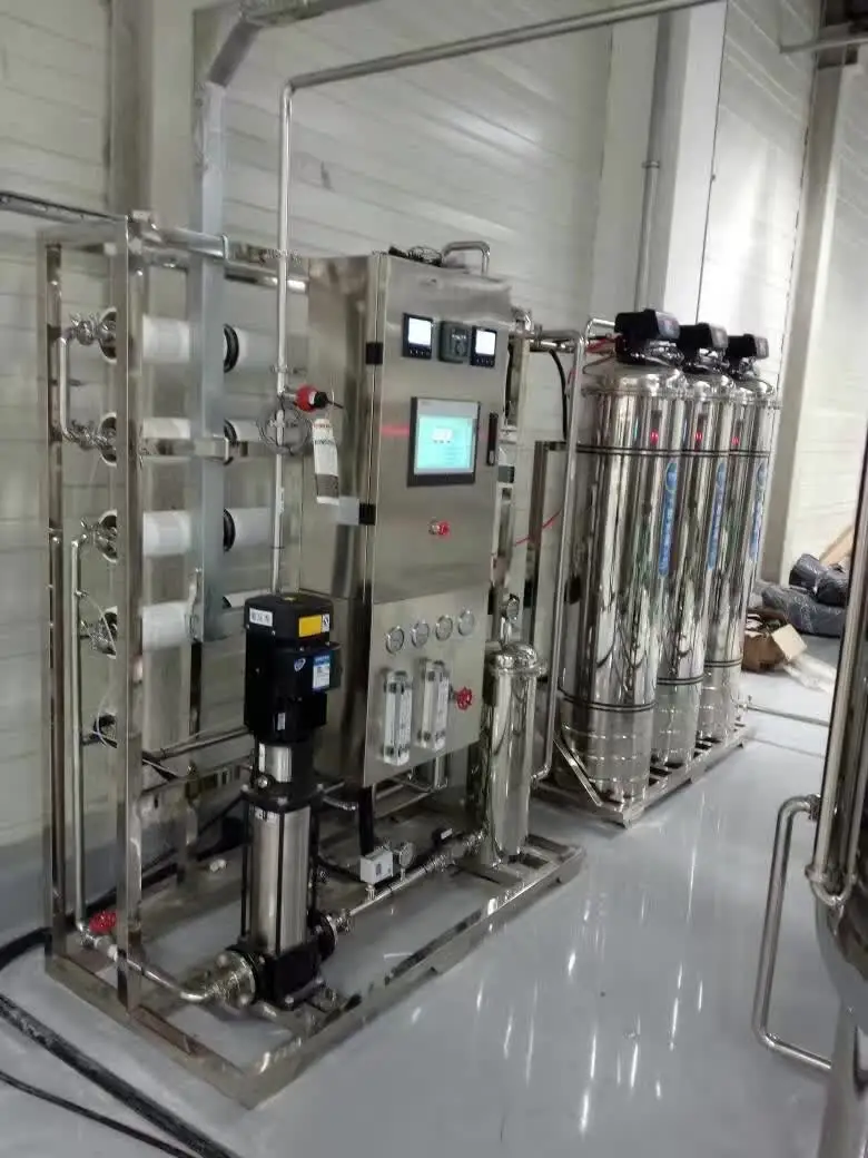 1000LPH Purification System Filters Reverse Osmosis Water Ro Plant Drinking Water Treatment Machinery