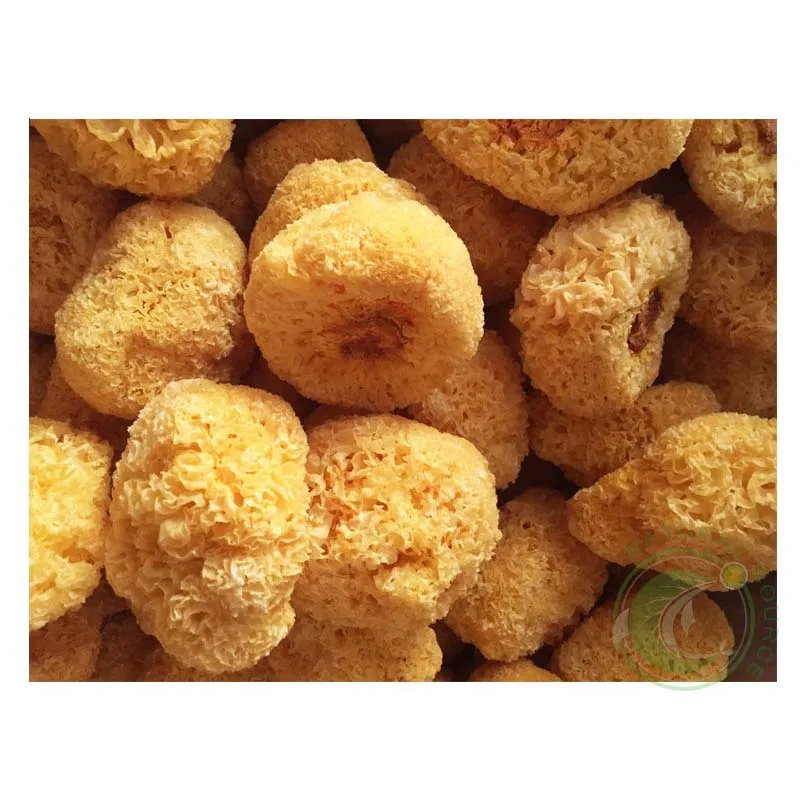 
 Серебряный гриб для ушей/высококачественные китайские грибы Tremella Fuciformis  