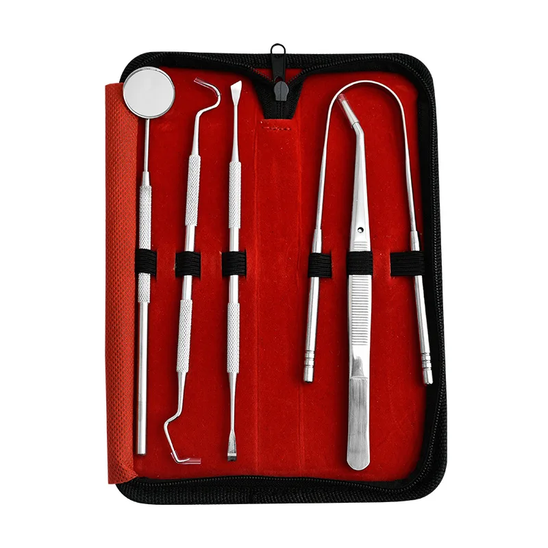 2022 high quality  8 Piece Oral Instruments Dental Tools Dentist Teeth Probe Hook Teeth Cleaning Care Kits for Adult