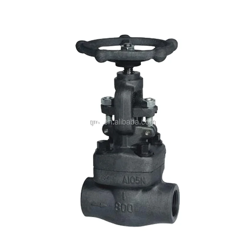 forged steel socket weld / welded end globe valve