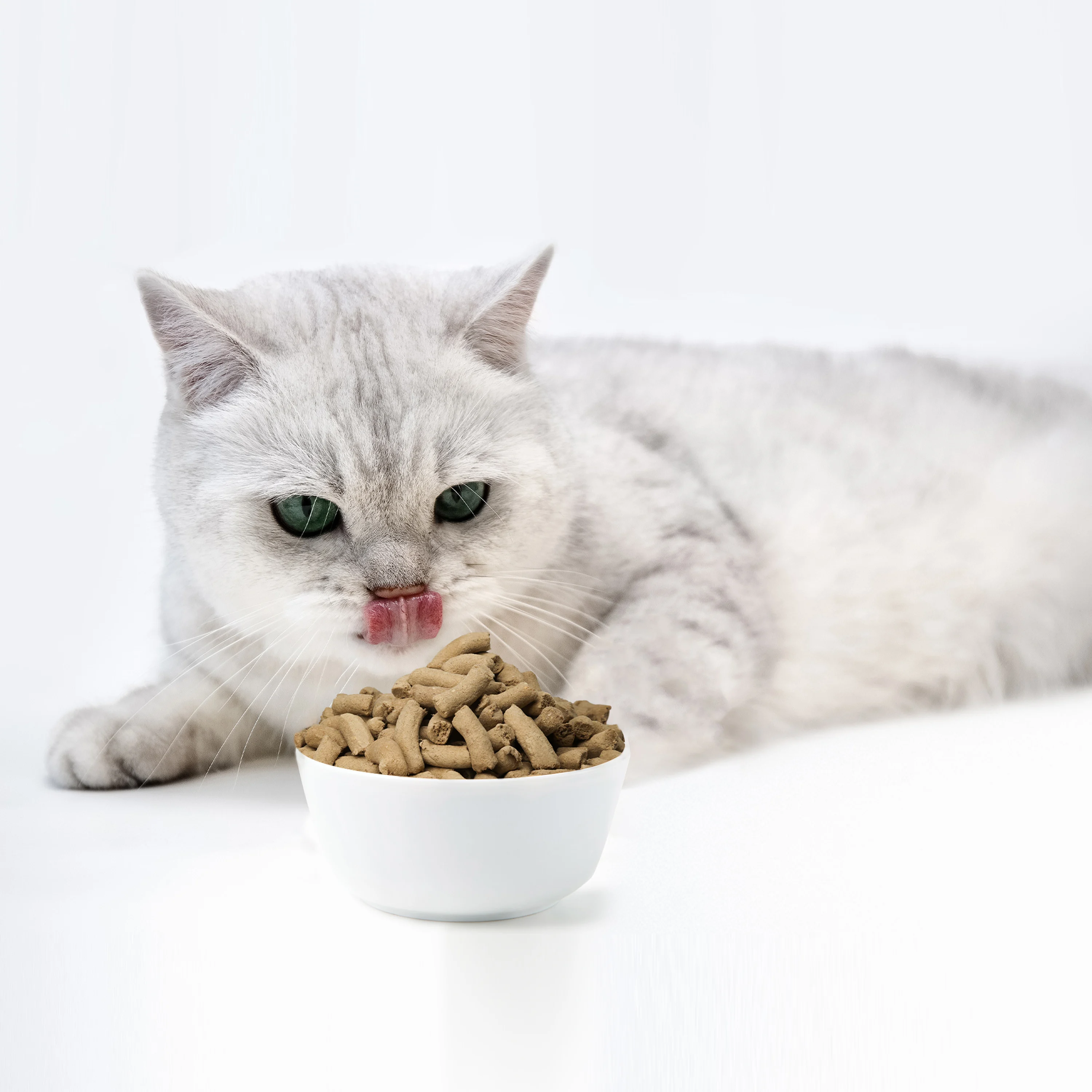 Ranova organic dried dog food natural freeze dried beef dogs cat food supplier