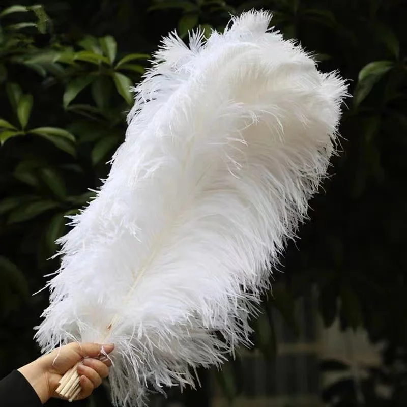 Wholesale Dyed Ostrich Feathers for Wedding Carnival Party Decoration