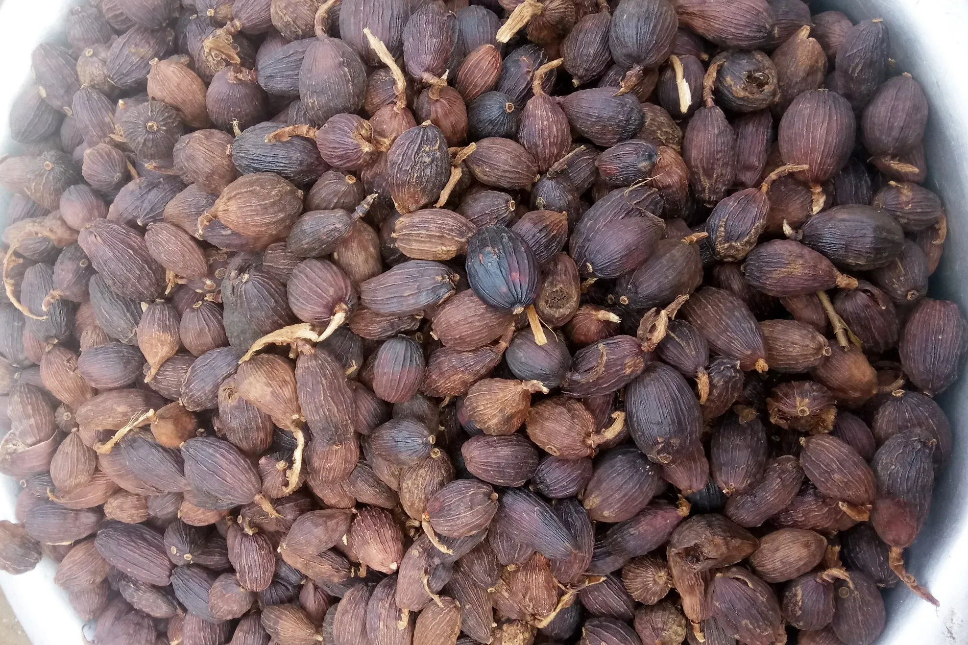 DRY BLDRIED BLACK VIETNAM CARDAMOM with the High Quality Best Price Spices & Herbs Products - What.sapp 0084 989 322 607
