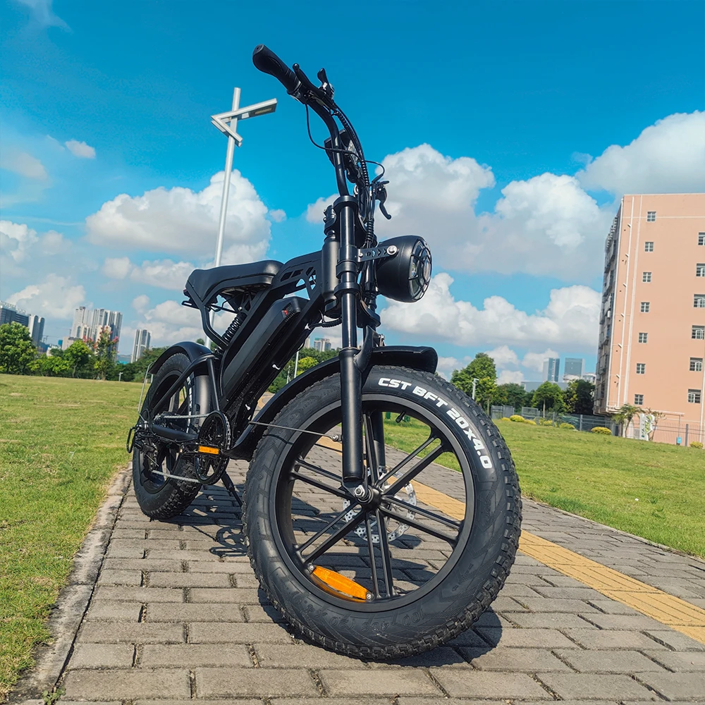 Factory Price Buy Fast Bike Fat Tire Ebike Customized Logo Lithium Battery Cheap 750w Steel 48V V20