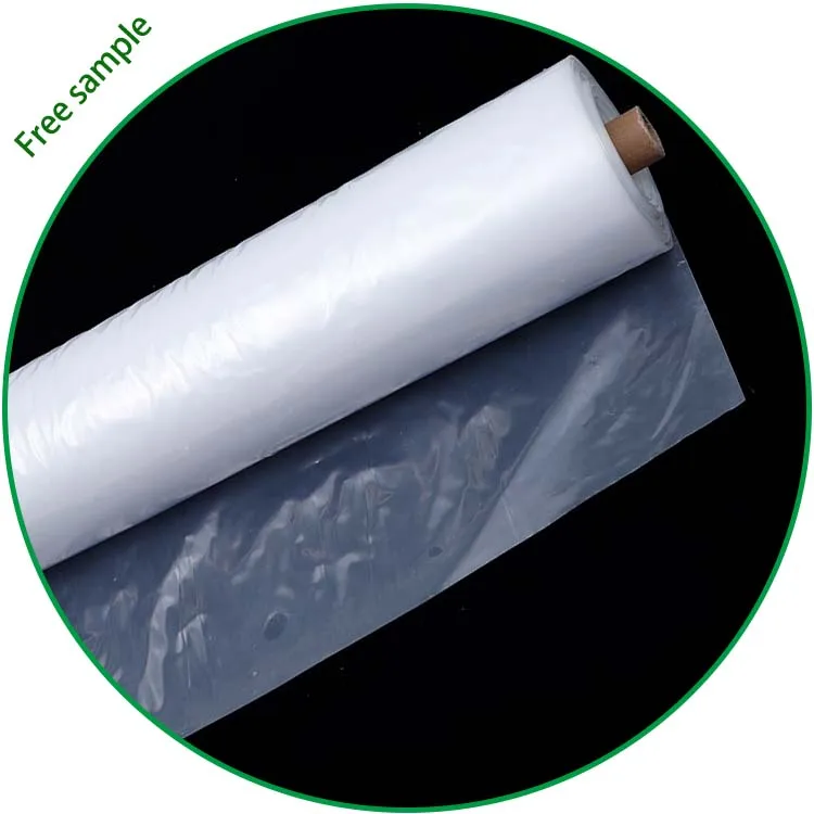 Transparent Clear Plastic 150 micron 6 mil Thick Polythene Roll / Polyethylene Greenhouse Film