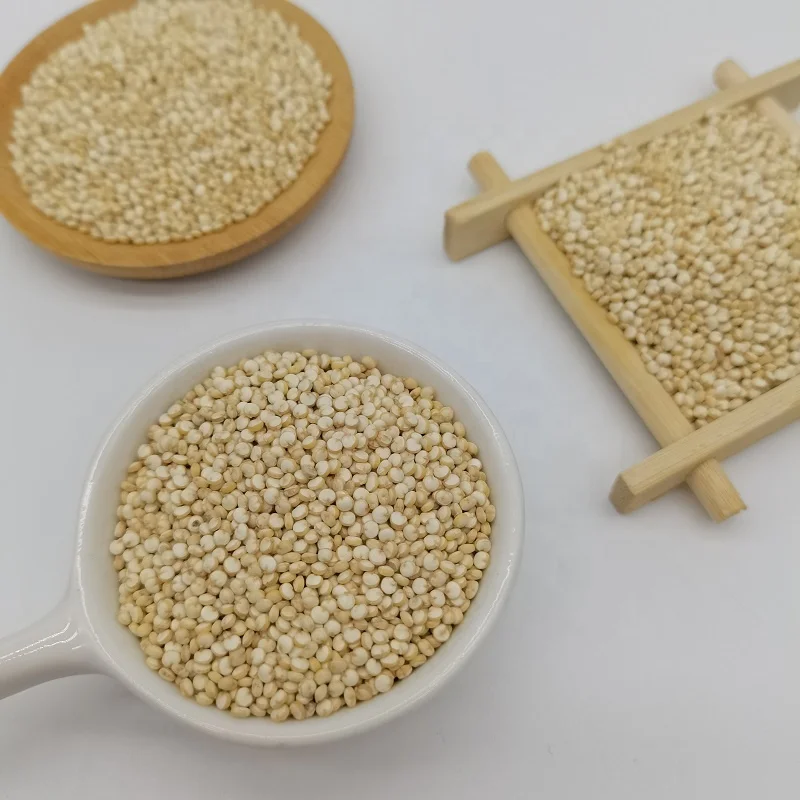 China Hot sale premium conventional dried white Quinoa Gluten-free  Organic white Quinoa