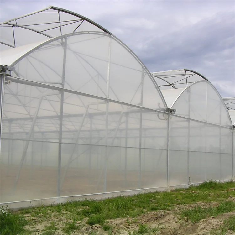 Easy Installed Commercial Hydroponic Plastic Film Multispan Greenhouse