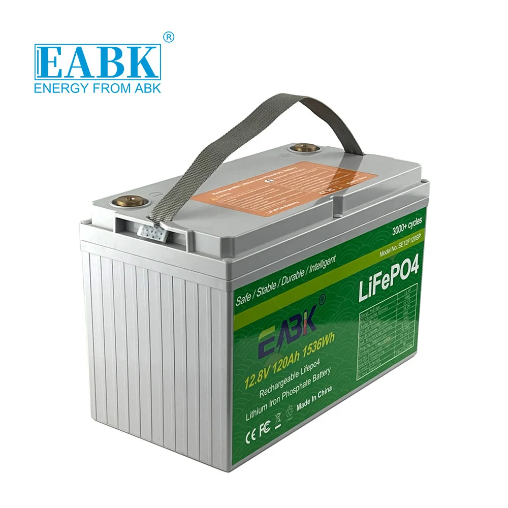 Built in Smart BMS Low temperature Li Batteries 12v 100Ah Lifepo4 Battery Support Phone Link For Rv Electric Golf Cart Marine