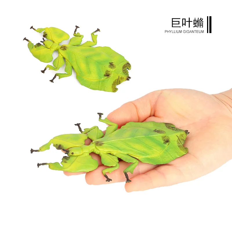 Wholesale Solid PVC Simulation Model Giant Malaysian Leaf insect Insect Figures Bug Animal Figurines Toys